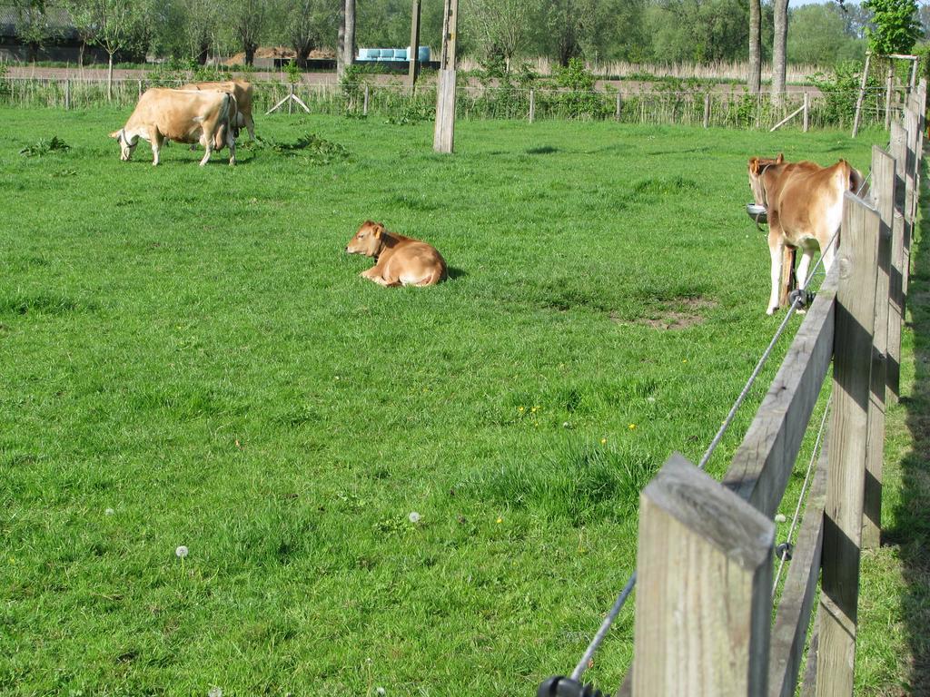 B&B Le Plat Pays Oostkamp-Brugge 외부 사진