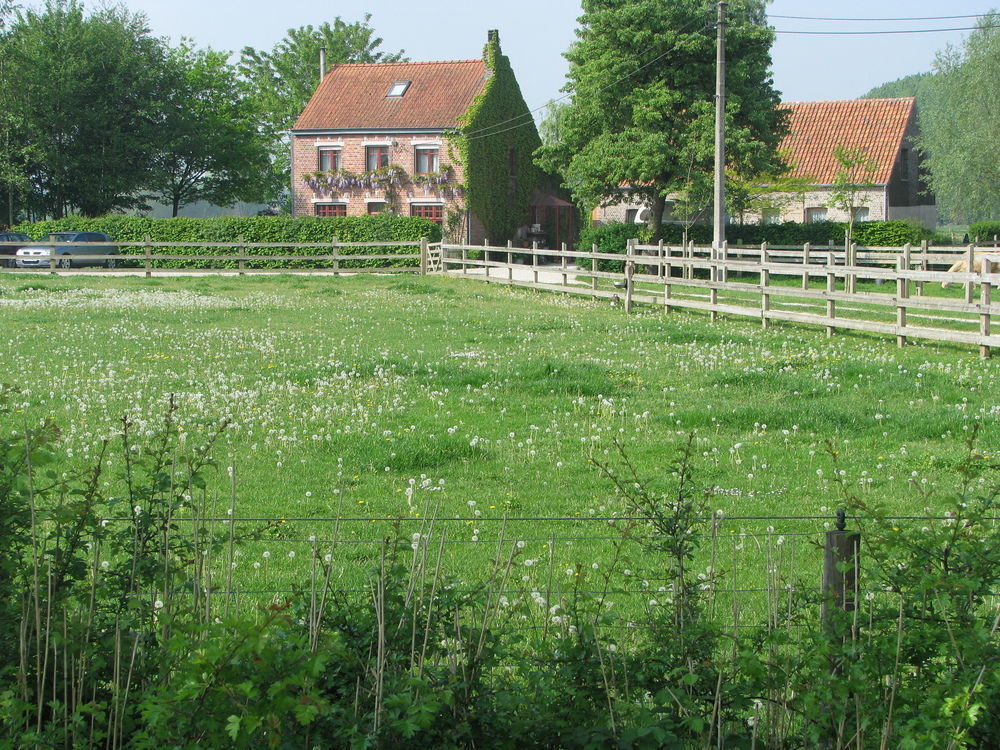 B&B Le Plat Pays Oostkamp-Brugge 외부 사진